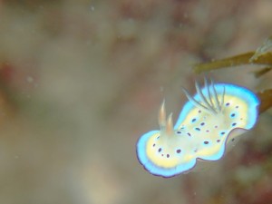 ベストポジション！        